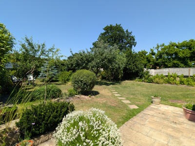 Picture 2